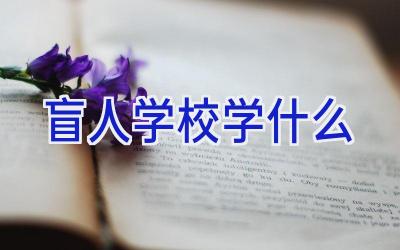 盲人学校学什么插图