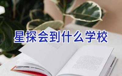 星探会到什么学校插图