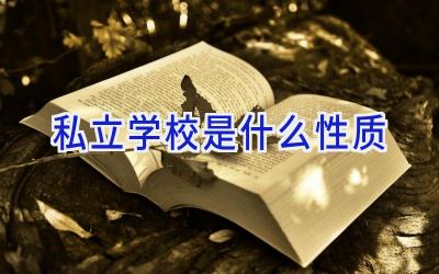 私立学校是什么性质插图