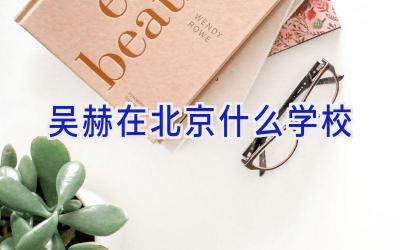 吴赫在北京什么学校插图