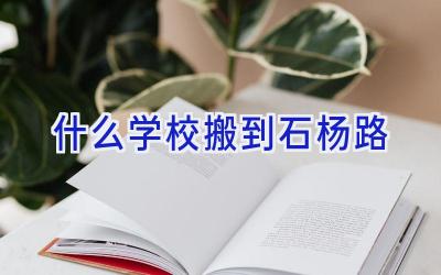 什么学校搬到石杨路