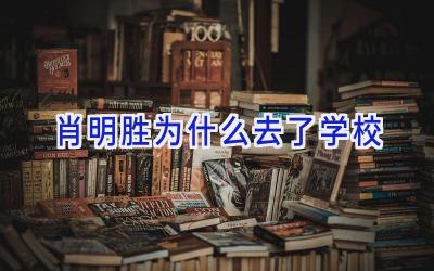 肖明胜为什么去了学校插图