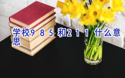 学校985和211什么意思插图