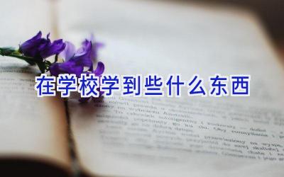 在学校学到些什么东西插图