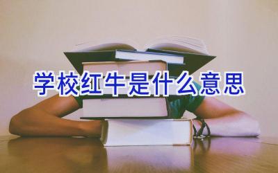 学校红牛是什么意思插图