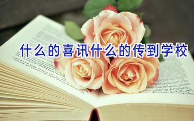 什么的喜讯什么的传到学校插图