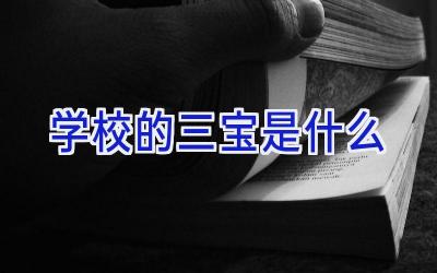 学校的三宝是什么插图
