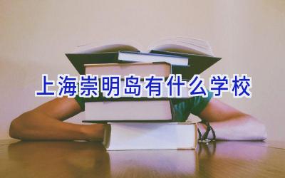 上海崇明岛有什么学校插图