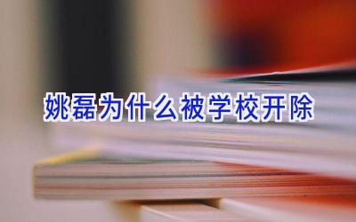 姚磊为什么被学校开除插图