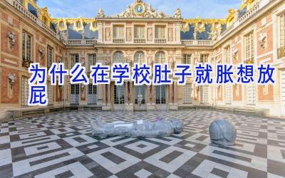 为什么在学校肚子就胀想放屁插图