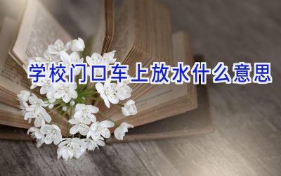 学校门口车上放水什么意思插图