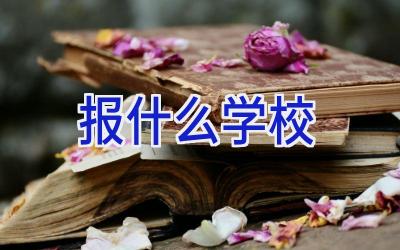 报什么学校插图