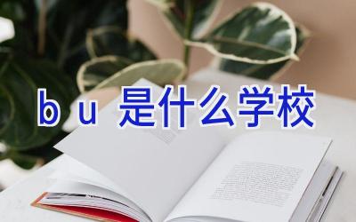 bu是什么学校插图