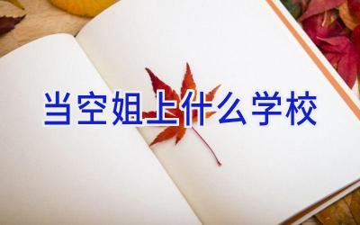当空姐上什么学校插图