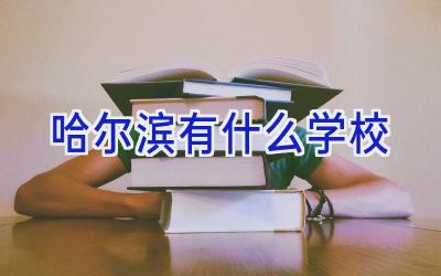 哈尔滨有什么学校插图