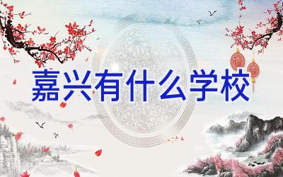 嘉兴有什么学校插图