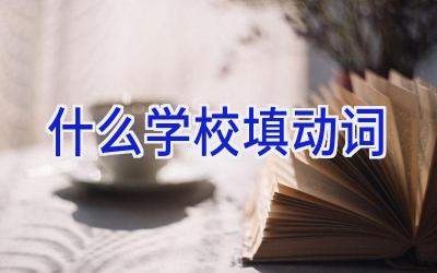 什么学校填动词插图