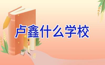 卢鑫什么学校插图