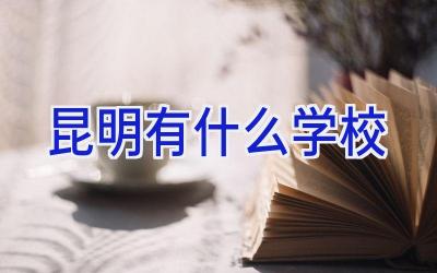 昆明有什么学校插图