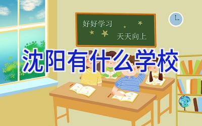 沈阳有什么学校插图