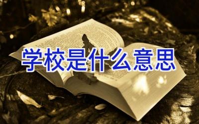 学校是什么意思插图