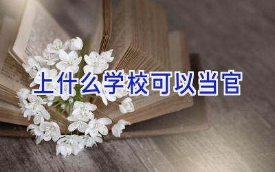 上什么学校可以当官插图