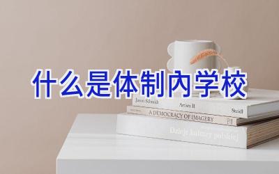 什么是体制内学校插图