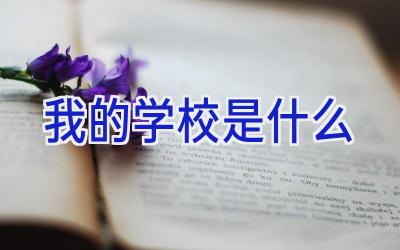 我的学校是什么插图
