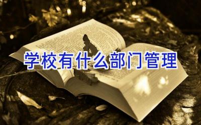学校有什么部门管理插图