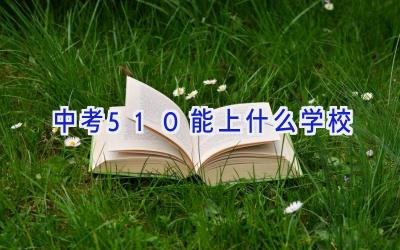 中考510能上什么学校插图