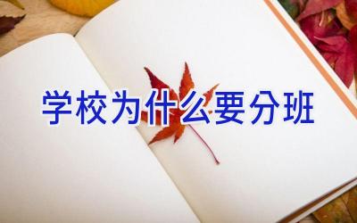 学校为什么要分班插图