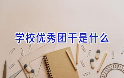 学校优秀团干是什么插图