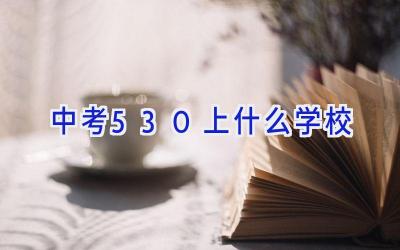 中考530上什么学校插图