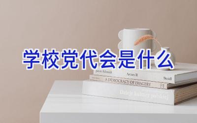 学校党代会是什么插图