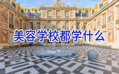 美容学校都学什么插图