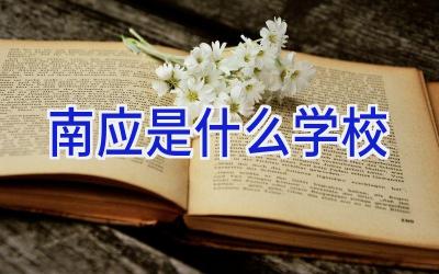 南应是什么学校插图