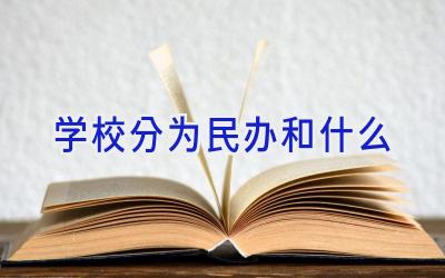 学校分为民办和什么插图