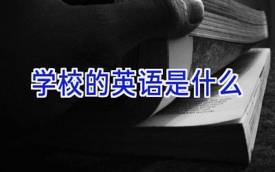 学校的英语是什么插图
