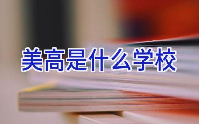 美高是什么学校插图