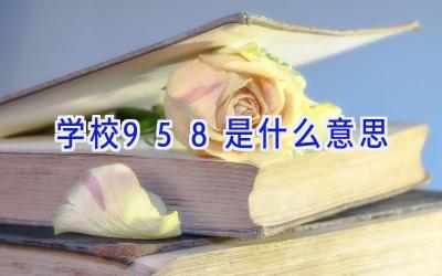 学校958是什么意思插图