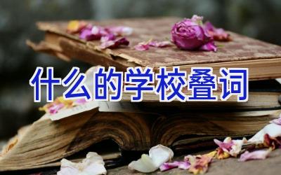 什么的学校叠词插图