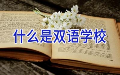 什么是双语学校插图
