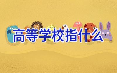 高等学校指什么插图