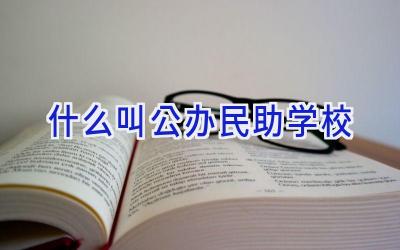 什么叫公办民助学校插图