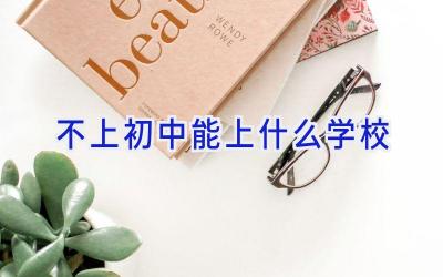 不上初中能上什么学校插图