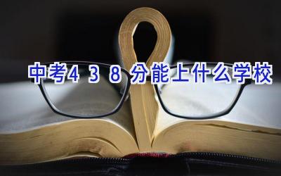 中考438分能上什么学校插图