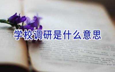 学校调研是什么意思插图