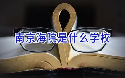 南京海院是什么学校插图