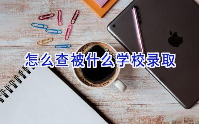 怎么查被什么学校录取插图