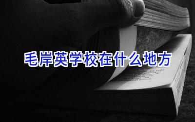 毛岸英学校在什么地方插图